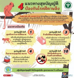 4 แนวทางสุขบัญญัติ ในการป้องกันโรคฝีดาษลิง